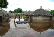 The floods in Namibia this year affected 20,000 people