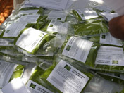 Packaged Moringa leaf powder
