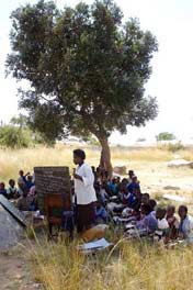Some rural Zimbabwean children are still forced to have school lessons under trees