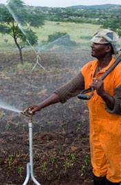 Agricultural production is a livelihood for many poor people